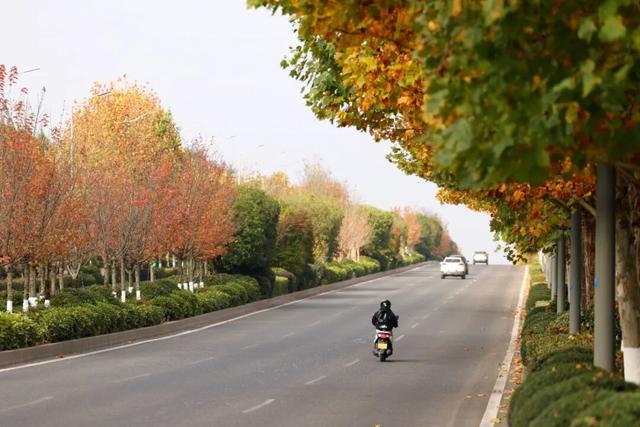 这含“金”量，不摆啦！贵阳的秋天，谁懂？