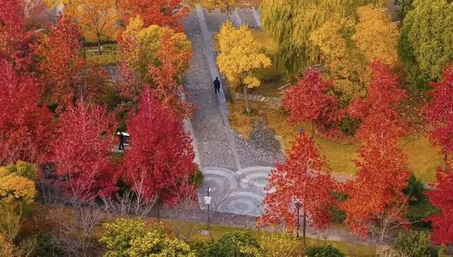 这些出片圣地，人少景美速收藏！