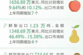 一季度 陕西果品出口形势向好图片