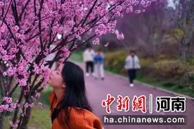 河南长葛55处赏花地邀游客“拥抱春天”图片