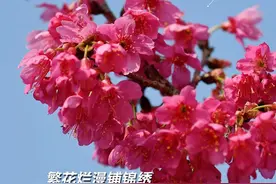 早安赣州｜最新通告！这类行为全省禁止！图片