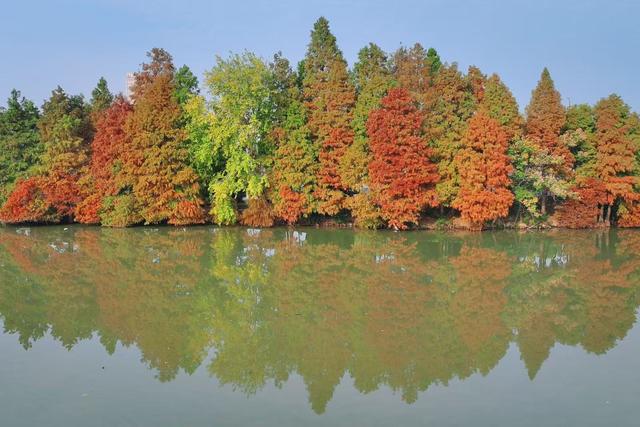 商视界｜柘城容湖初冬如画