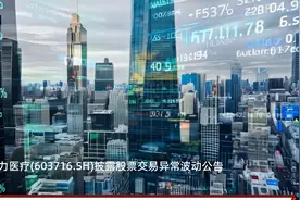 塞力医疗(603716.SH)：存在两笔合计4.56亿元募集资金到期未能及时归还的情形