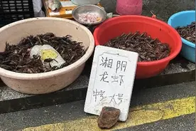 低至14元/公斤，“小龙虾自由”提前到图片