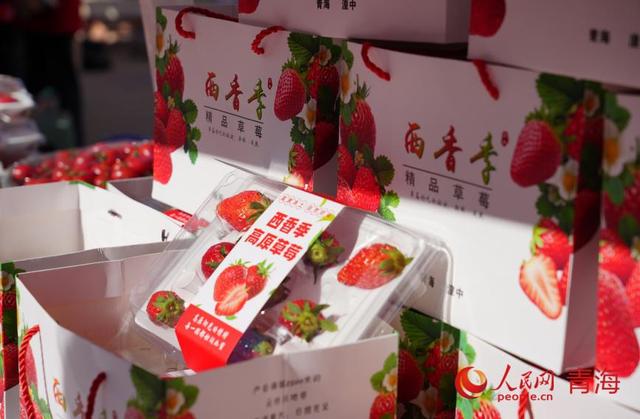 首届湟中草莓文化艺术季暨冬春季文旅活动启动