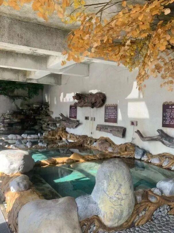 乘着高铁游白山 | “百区百景”打卡攻略之仙人桥温泉旅游度假区