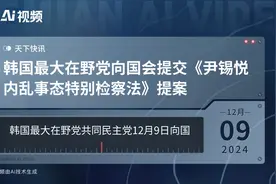 韩国最大在野党向国会提交《尹锡悦内乱事态特别检察法》提案视频封面