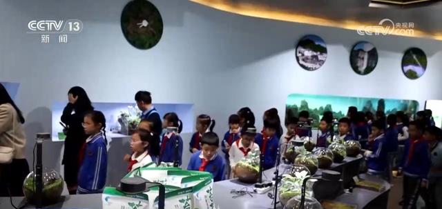 秋假游带热多地景区 “专属优惠+特色活动”释放文旅消费活力