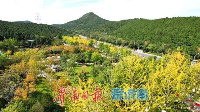 一年四季 泉在济南丨金秋染林间 佛慧山景区秋色引客来