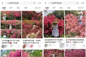 四月的东湖春花太美了图片