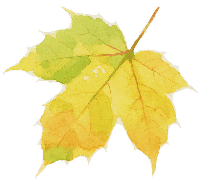 每日一景 | 松涛碧水如翡翠 青山叠翠映柔波