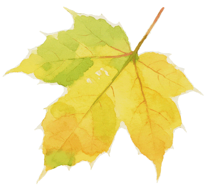 句容茅山“下雪”啦