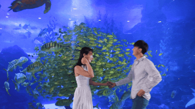 这才是青岛人私藏的城市封面！“醉美”红礁石、中国首个水族馆，年卡99元起畅玩！