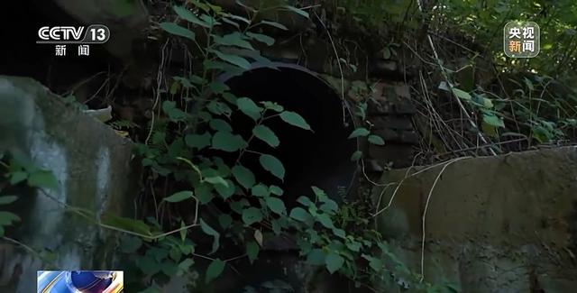 活力中国调研行丨 守好长江上游每一滴水 重庆构建治水“神经网络”