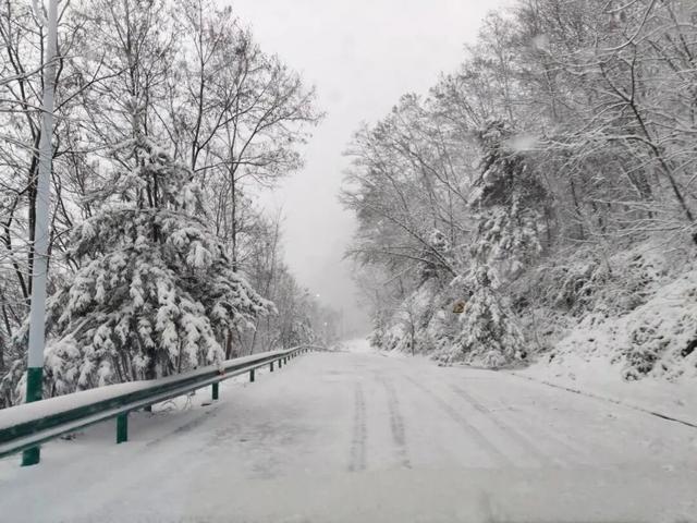 此刻，武汉真的下雪了！