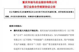 一周内收三份问询函！迎来“金主”的迪马股份能否摆脱退市危机？图片