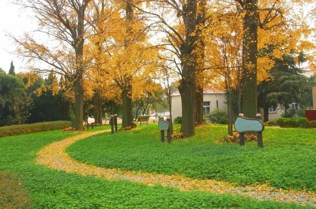 这些出片圣地，人少景美速收藏！