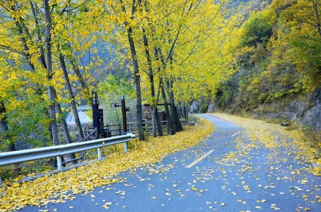 豫见两山 绿色答卷丨生态之旅——打卡“红旗渠的故乡”林州