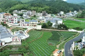 平远县八尺镇排下村：打造“省际窗口·酒果飘香”典型村图片