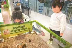 “异宠”不可随意宠图片