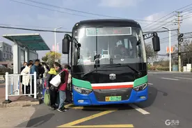 带你去崂山观景赏叶！@青岛人，这些公交线路周末增发班次→图片