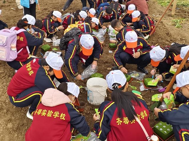 潍坊昌乐：打造“行走课堂”研学矩阵，融汇火山地质与智慧农耕新体验