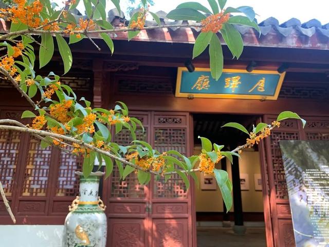 季节限定！浙江这些宝藏赏桂地与你“香”约~