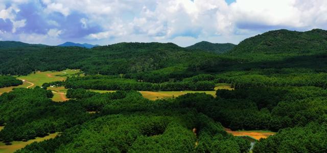 藏着自然的无尽温柔与浪漫！来盘龙大哨森林，我“氧”你啊！