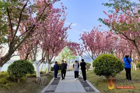 假日尽享好春光图片