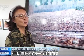从“挑食小鹤”到领头“大哥哥” 白鹤“小雪”即将开启北迁之旅图片