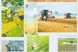 小满至 农事忙图片