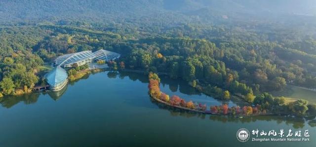 没来过紫金山，就不算看过南京的秋