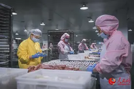 河南漯河：向“新”而行 以“质”谋变图片