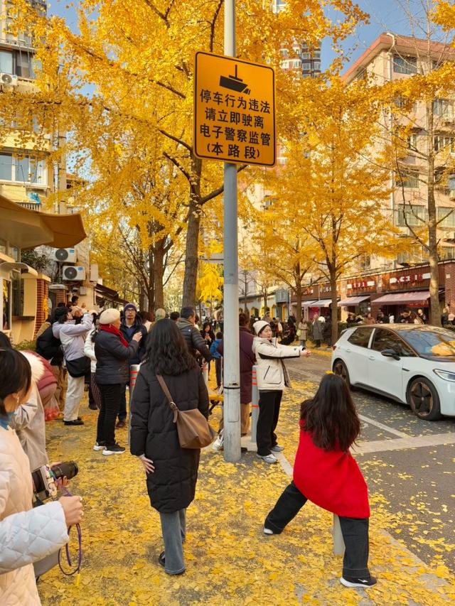 "全上海人都来了吧…"今天这条路什么情况？大堵车！还有30万人抢破头↗