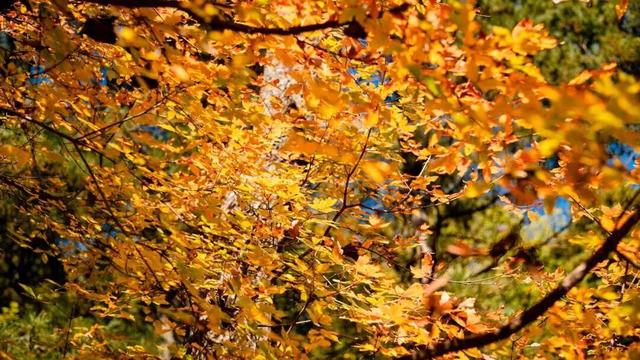 @南方小土豆！白云山免票福利来啦！邀你一起来看雪！