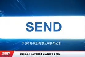 杉杉股份8.76亿处置宁波古林镇工业用地视频封面