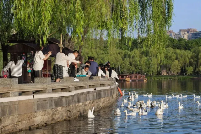 会“呼吸”的城市商业形态，正在曲江蓬勃生长！