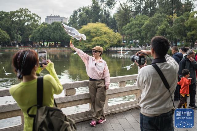 昆明：初冬春城引游人