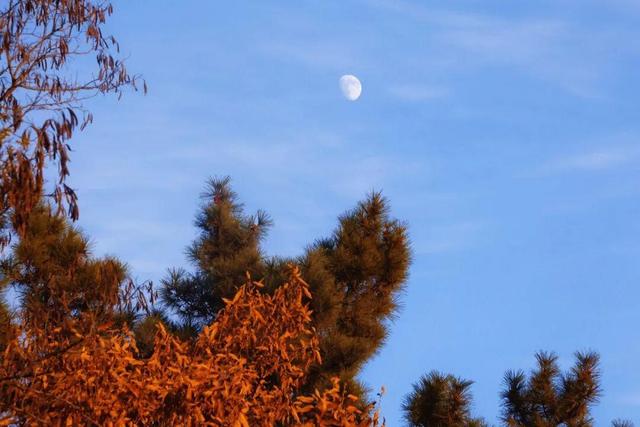 这条宝藏步道，藏着威海人冬日的运动暖趣