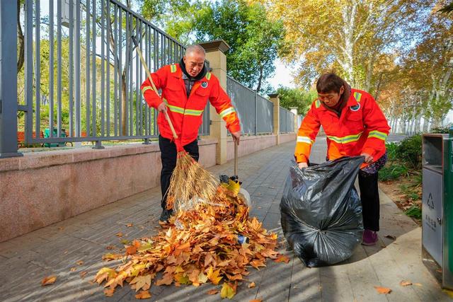 东湖南路上演初冬的浪漫：满径梧桐黄，一路保洁忙