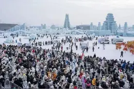 政前方 | 解码“尔滨”流量梗，网红青岛谋长红图片