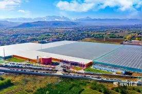 中国玫瑰超级工厂产业工人的模样——让所有的梦想都开花图片