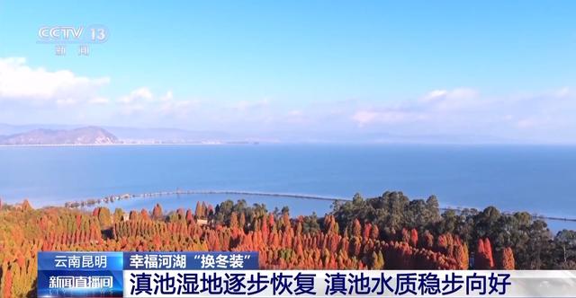 有一种生活叫云南 冬日滇池邀你来一场“观鸥游”