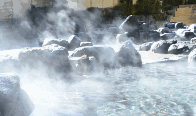 雪山下泡个汤，甘孜冬日真香！