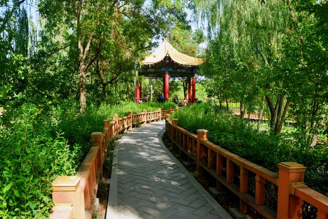 组图丨凉州植物园的秋日浪漫