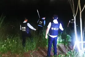 重庆华侨城周边野猪出没 社区：已抓获一只，仍有野猪在逃图片