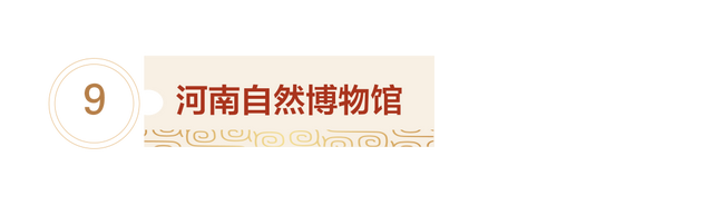 河南国家一级博物馆地图来了！你去过几家