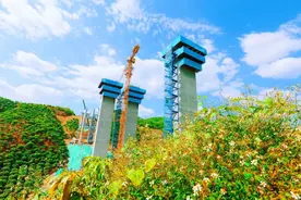大山深处建“花园”图片