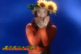 那英《雾里看花》原来是3·15打假歌，MV雷电特效花6000元买的图片