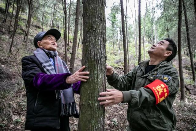 何以重庆｜云阳：向阳而生